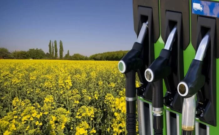 Producao de Biocombustiveis