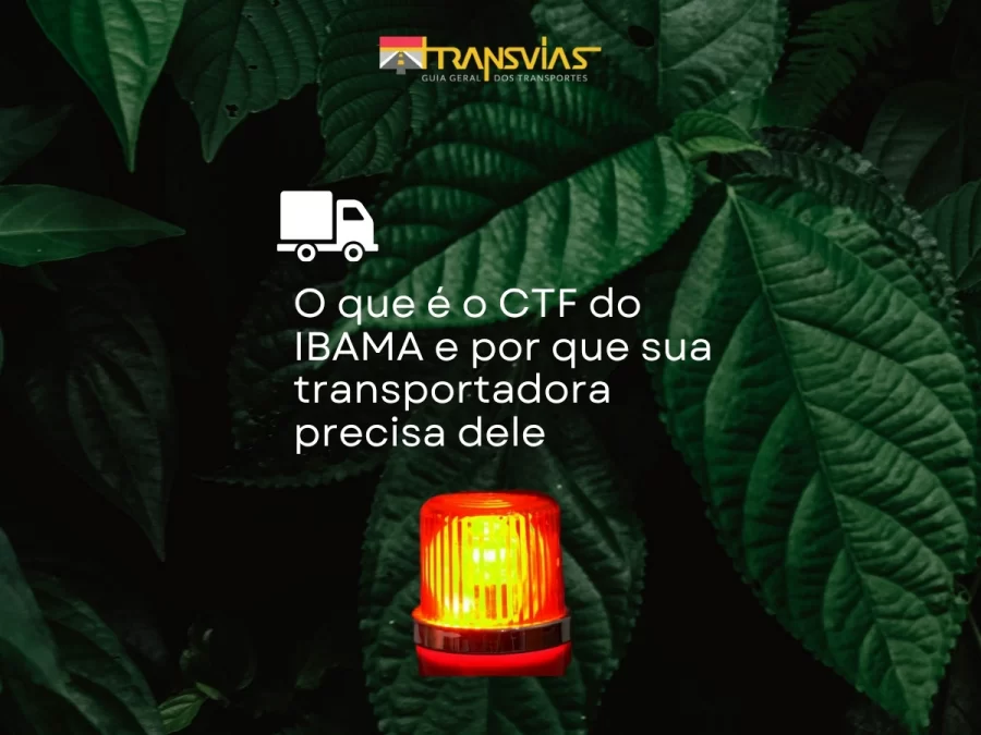 O que é o CTF do IBAMA e por que sua transportadora precisa dele